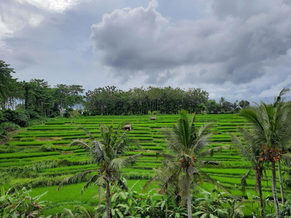 Serenity Private Villa Mas Ubud Eksteriør bilde