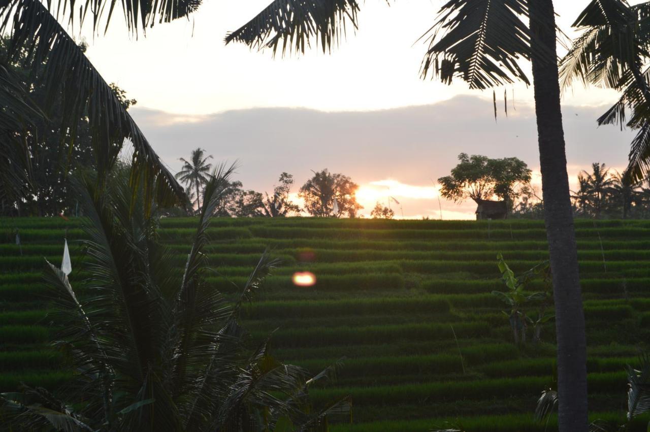 Serenity Private Villa Mas Ubud Eksteriør bilde