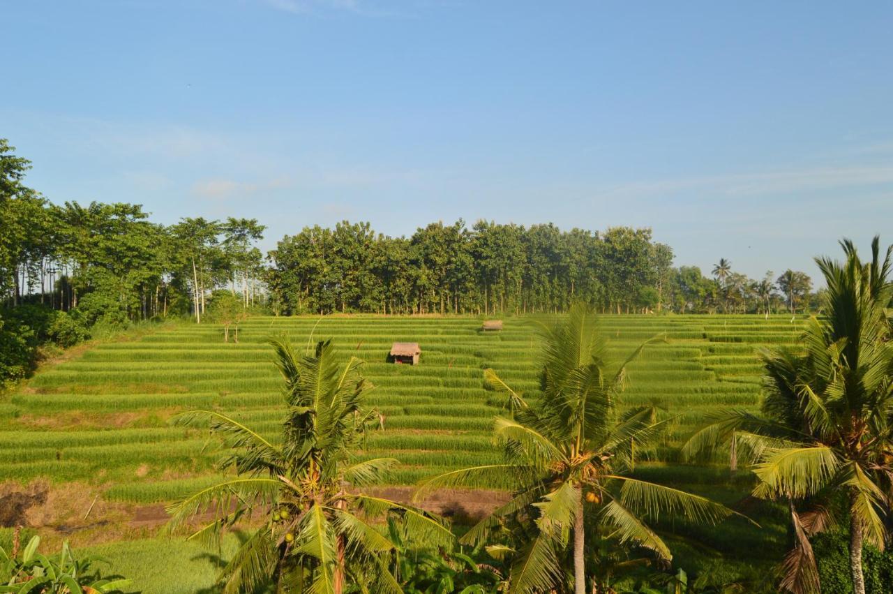 Serenity Private Villa Mas Ubud Eksteriør bilde